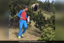 Thót tim xem cậu bé mưu trí thoát khỏi con gấu lớn