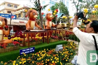 Chó tấu nhạc tài tử ở đường hoa nghệ thuật Cần Thơ