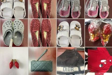 Đà Nẵng: Đấu giá lô tang vật vi phạm hành chính bị tịch thu