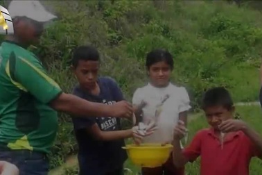 Bí ẩn những "cơn mưa cá" xảy ra mỗi năm một lần