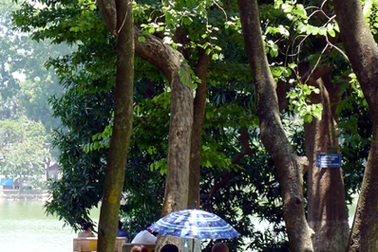 Miền Bắc tăng nhiệt, miền Trung mưa giông