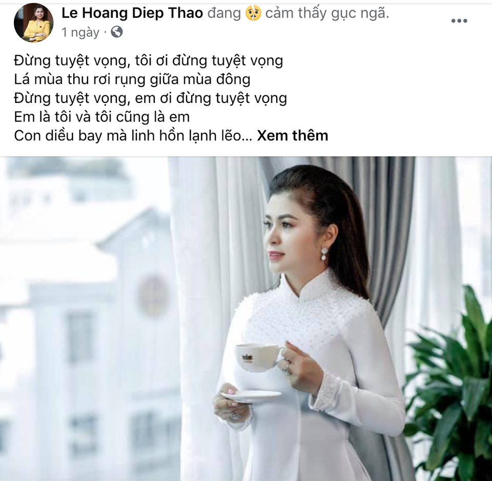 Bà Lê Hoàng Diệp Thảo nói gục ngã sau vụ li hôn nghìn tỷ với Vua cà phê - 2 Bà Lê Hoàng Diệp Thảo nói gục ngã sau vụ li hôn nghìn tỷ với Vua cà phê - 2