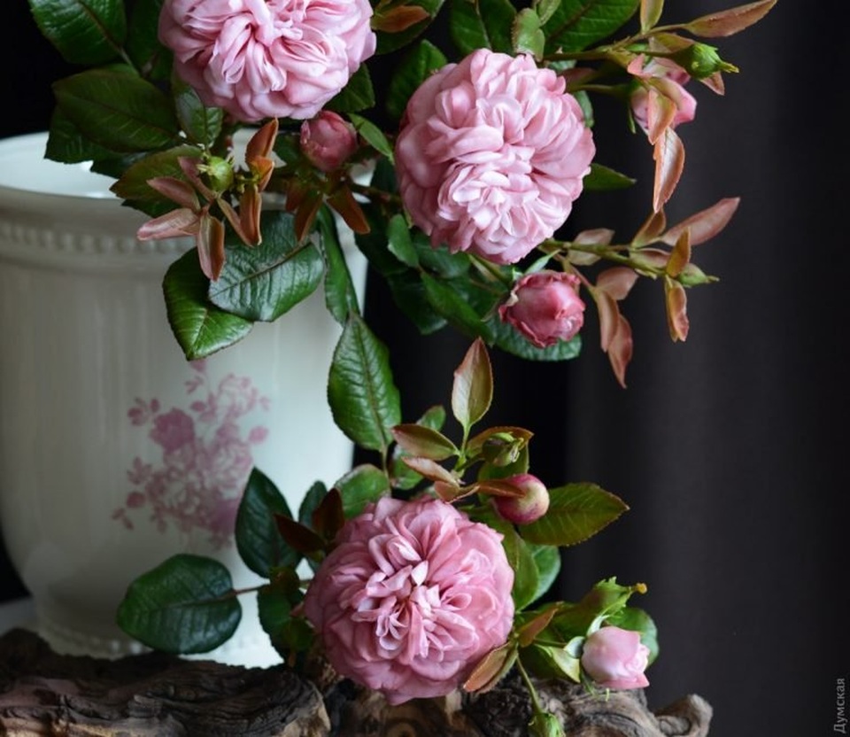 Những bông hoa tuyệt đẹp nhưng rơi là... vỡ vụn - 6 Những bông hoa tuyệt đẹp nhưng rơi là... vỡ vụn - 6