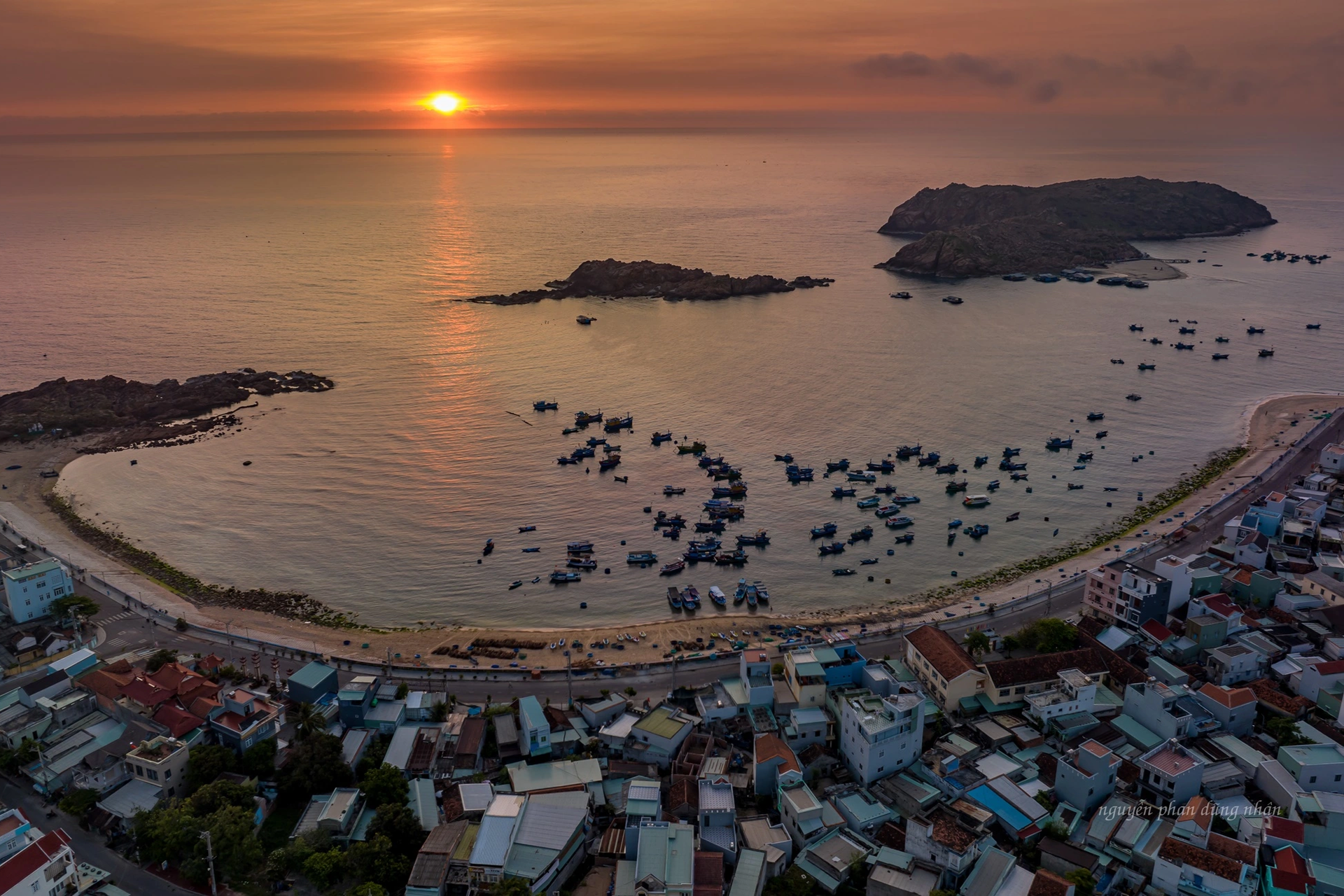 Ngắm cánh đồng rong mơ ngập sắc vàng dưới biển Quy Nhơn - 8 Ngắm cánh đồng rong mơ ngập sắc vàng dưới biển Quy Nhơn - 8