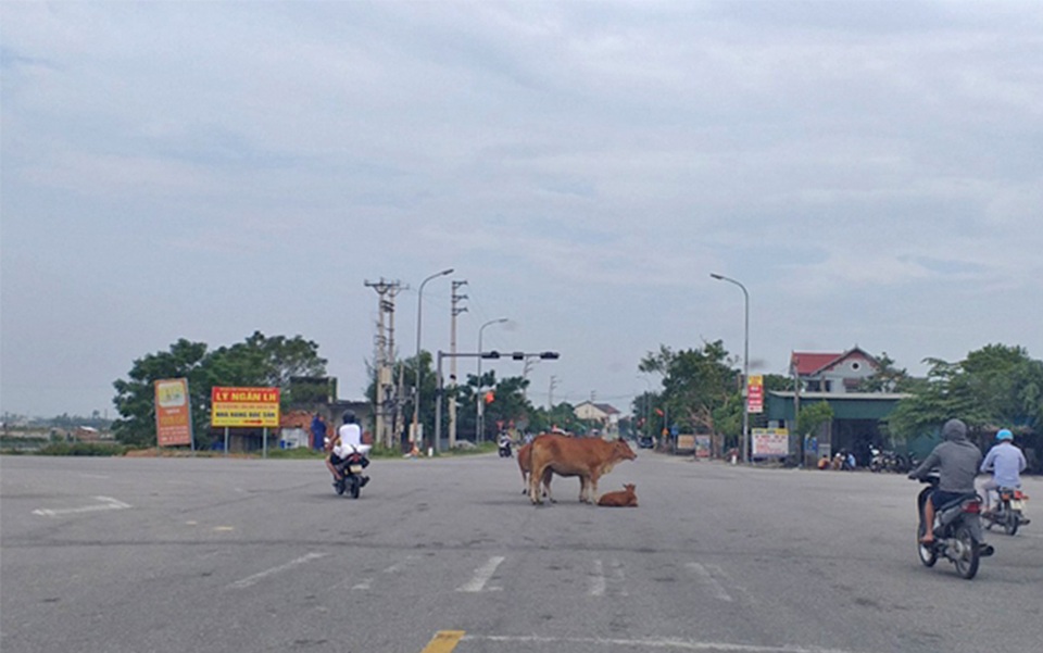 Hai vụ tai nạn chết người liên tiếp xảy ra tại một nút giao thông - 3 Hai vụ tai nạn chết người liên tiếp xảy ra tại một nút giao thông - 3