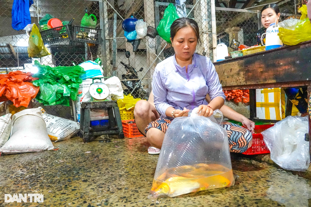 Chợ cá chép Tây Đô nhộn nhịp ngày đưa ông Táo về trời - 8 Chợ cá chép Tây Đô nhộn nhịp ngày đưa ông Táo về trời - 8