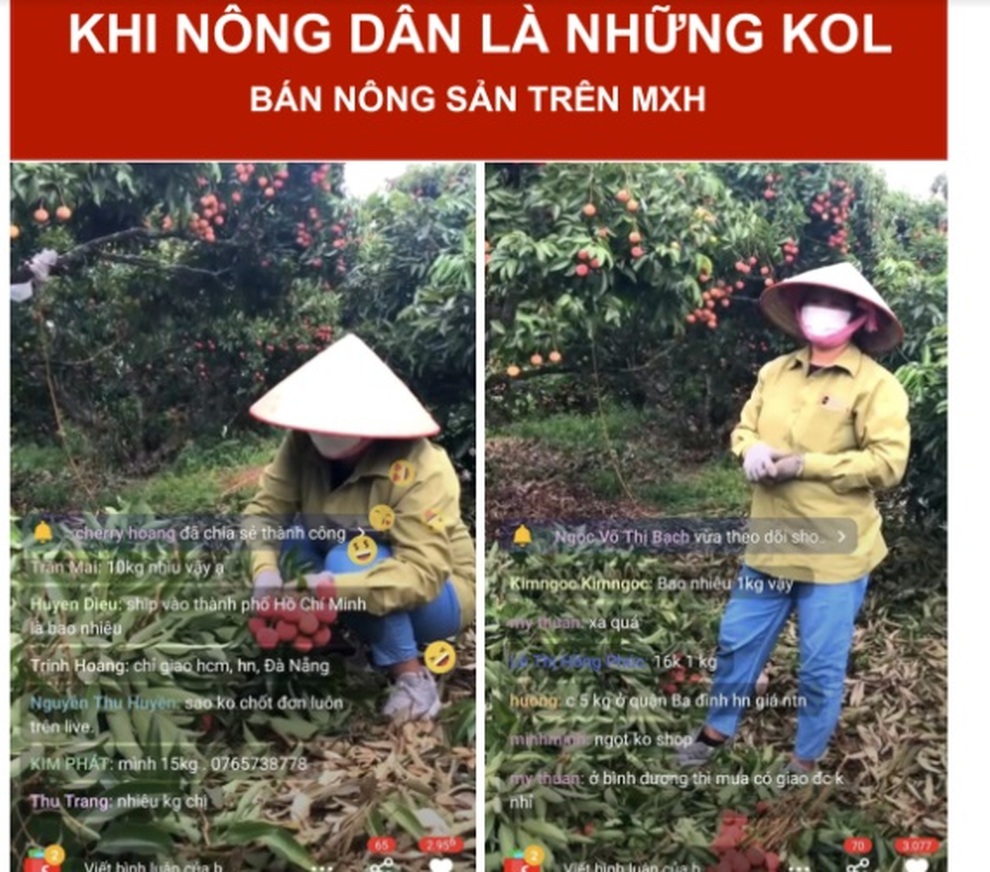 Một tuần nông dân 5 tỉnh bán hết 200 tấn nông sản trên sàn TMĐT - 4 Một tuần nông dân 5 tỉnh bán hết 200 tấn nông sản trên sàn TMĐT - 4