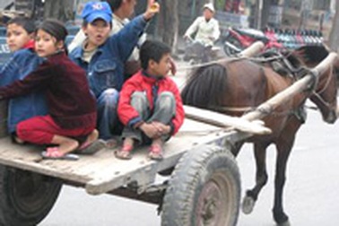 Lang thang xe ngựa