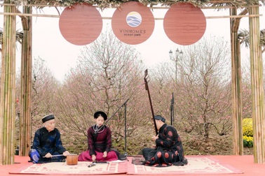 Choáng ngợp với 2 lễ hội hoa Xuân lập kỷ lục Việt Nam