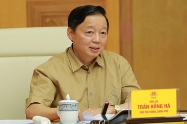 Nhiều sai phạm đất đai không thể khắc phục nếu không có cơ chế đặc thù