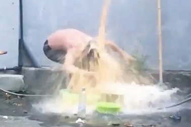 Youtuber Việt gây phẫn nộ khi... đổ 200 quả trứng sống lên đầu mẹ để quay video “câu view”