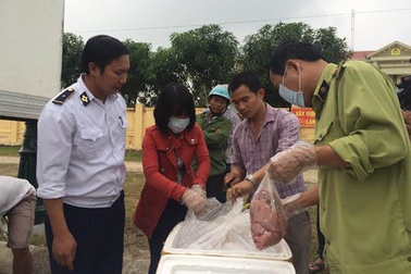 CSGT bắt xe tải chở gần 4 tạ nội tạng thối