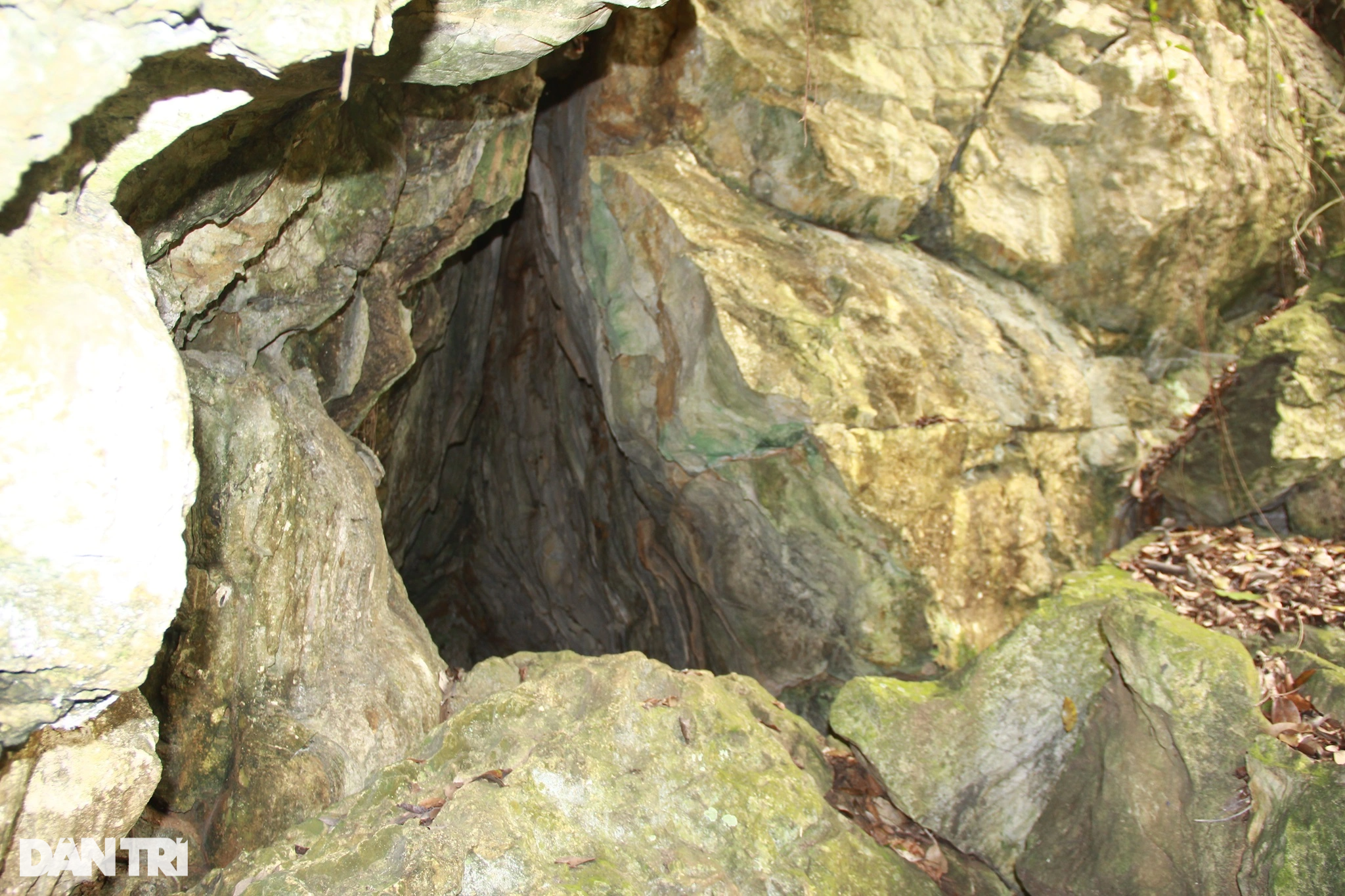 Khám phá hang động mới được phát hiện ở Thanh Hóa - 2