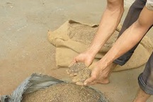 “Kho cà phê” cầm cố 7 ngân hàng: Bao nhiêu % là trấu, sỏi, đất?