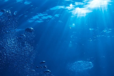 Tìm thấy vi sinh vật ăn dầu mỏ trong vũng Mariana