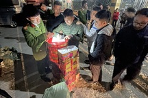 Gần 130kg pháo lậu bị "chặn đứng" trên đường về Hà Nội