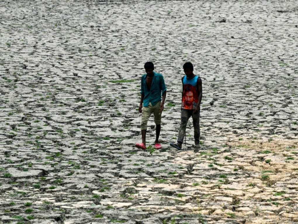 Nắng nóng sẽ gây thiệt hại về người trên quy mô lớn trong vài thập kỷ tới - 1