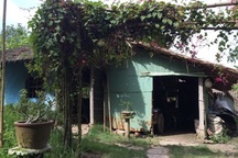 Cán bộ Sở Ngoại vụ trốn ở lại Mỹ để học tiến sĩ?