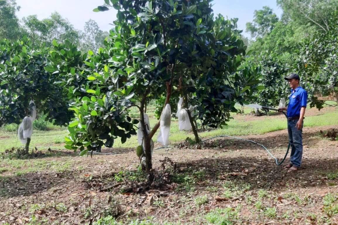 Khởi nghiệp từ 4 con heo giống, 8X làm chủ trang trại tiền tỷ - 4 Khởi nghiệp từ 4 con heo giống, 8X làm chủ trang trại tiền tỷ - 4