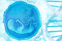 Những em bé được chỉnh sửa gene đầu tiên có nguy cơ tử vong sớm