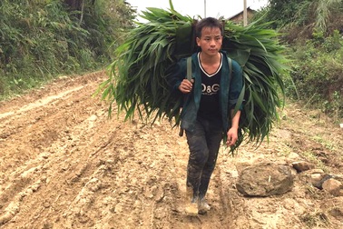 Cung "đường chết" ở miền tây xứ Nghệ: Thành lập đoàn kiểm tra hiện trường