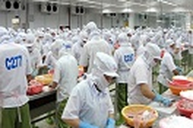 DOCIMEXCO – Tiên phong trong lĩnh vực nông nghiệp