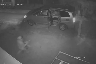 Những trộm chó đi ô tô khiến nhiều người phẫn nộ