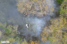 Vẻ đẹp kỳ bí của rừng nguyên sinh ngập nước duy nhất trên phá Tam Giang