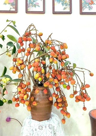 Cô giáo gây sốt với bình quả từ nguyên liệu “xin dọc đường” - 1