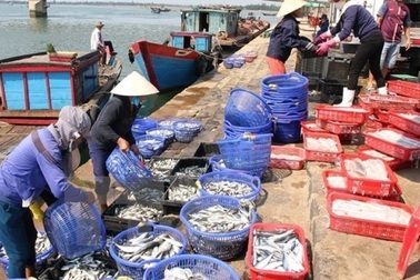 Tạm cấp kinh phí bồi thường sự cố môi trường biển lần 2