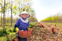 Nâng cao năng lực và độc lập tài chính cho phụ nữ