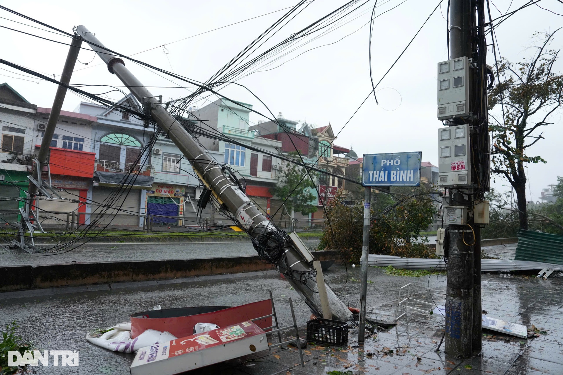 Bão Yagi đổ bộ Quảng Ninh: Đường phố ngổn ngang, hàng loạt cột điện gãy đổ - 8