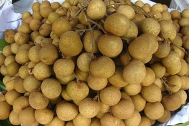 ĐBSCL: Thất thu mùa nhãn Tết