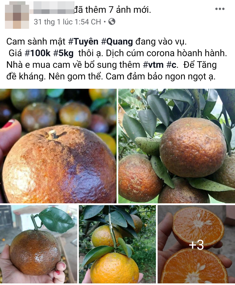 Rao gom mua cam tràn ngập chợ mạng vì sợ dịch Corona - 1 Rao gom mua cam tràn ngập chợ mạng vì sợ dịch Corona - 1