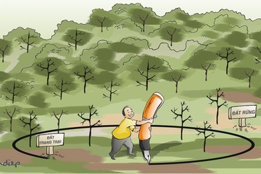 Sợi dây kinh nghiệm dài quá, rút mãi… rút mãi..!