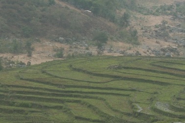 Mùa xuân đã về nơi miền sơn cước