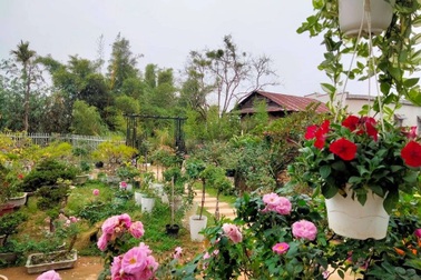 "Lạc chân" vào vườn 7000m2 ngập rau, hoa hồng của vợ chồng người Lâm Đồng
