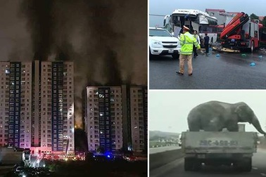 Cháy chung cư Carina Plaza và xe khách tông xe cứu hỏa trên cao tốc
