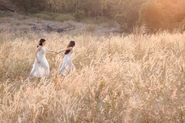 Mê mẩn mùa cỏ cháy trên bán đảo Sơn Trà