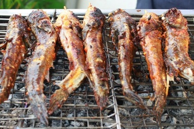 Đặc sản "trời ban" xấu "hết phần thiên hạ", có tiền cũng khó mua ở Cà Mau