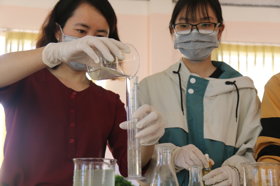 Hai nữ sinh lớp 11 chế dung dịch sát khuẩn từ loại cây mọc dại - 4 Hai nữ sinh lớp 11 chế dung dịch sát khuẩn từ loại cây mọc dại - 4