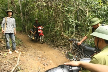 Lâm tặc đã “qua mặt” được kiểm lâm?