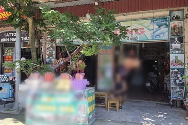 Một nơi ở Thanh Hóa cây muội hồng trồng nhan nhản trong nhà, trước cổng