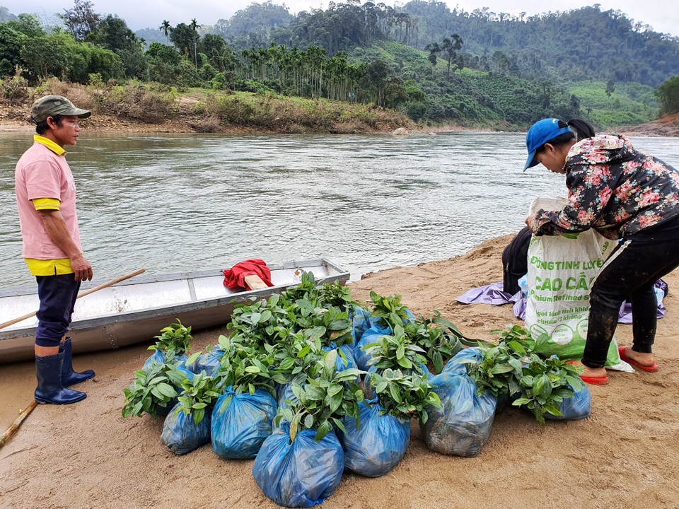 Chòng chành vượt sông dữ tìm con chữ - 3