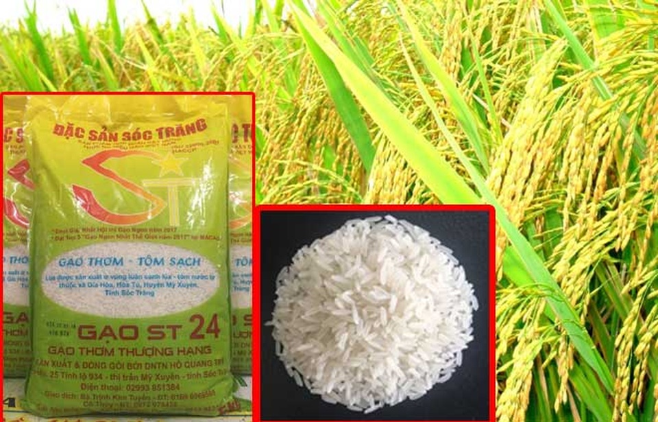 Công bố 10 sự kiện Khoa học và Công nghệ nổi bật năm 2019 - 3 Công bố 10 sự kiện Khoa học và Công nghệ nổi bật năm 2019 - 3