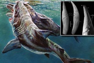 Siêu cá mập Megalodon tấn công cá nhà táng khổng lồ trong cuộc đấu sinh tử