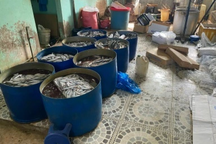 Phát hiện hơn 1 tấn thịt gà, cá đông lạnh không rõ nguồn gốc ở Gia Lai