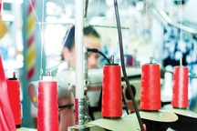 Nguy cơ mắc ung thư bàng quang từ chính nơi làm việc của bạn