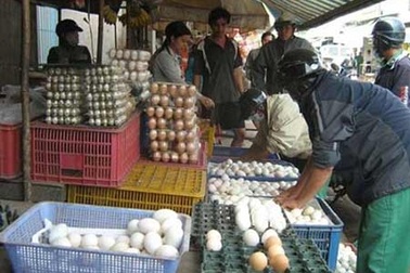 Sự thực về trứng gà ung công hiệu hơn cả... Viagra?!