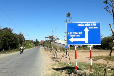 Cận cảnh "cụ"xoài cổ thụ 300 năm ở Bạc Liêu